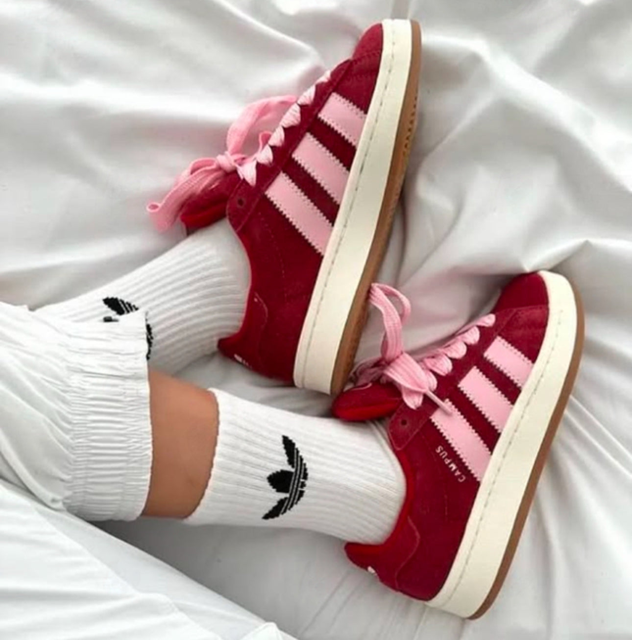 Campus Pinkyred